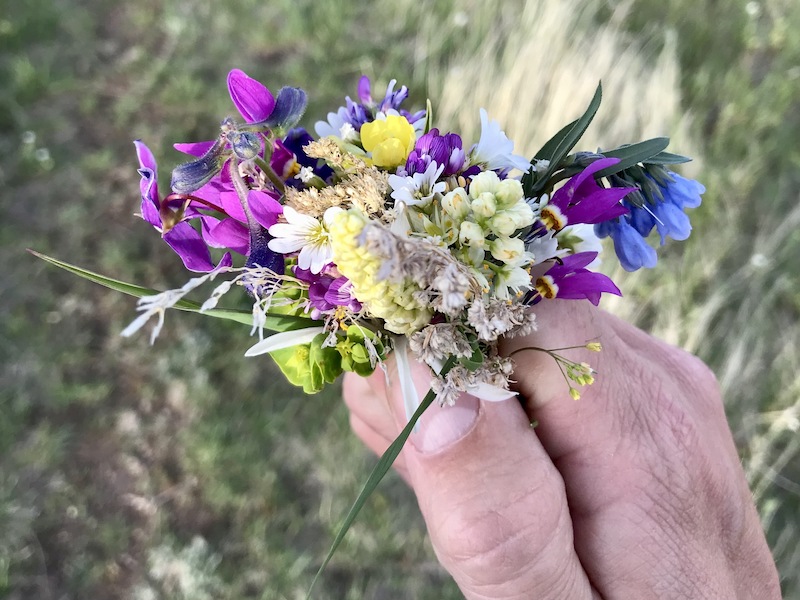 a bouquet of wildflowers